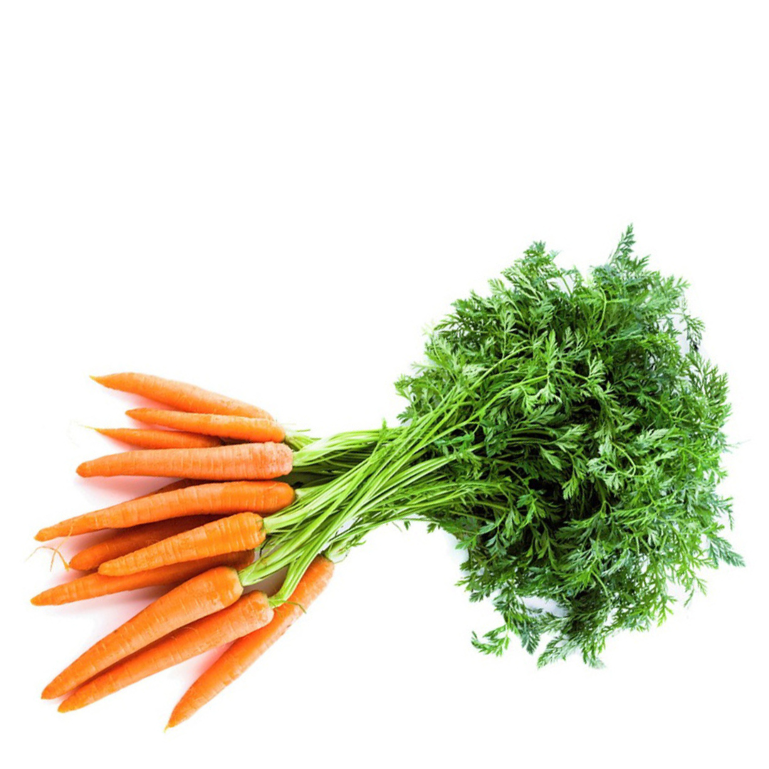 Carrots Dutch Bunch