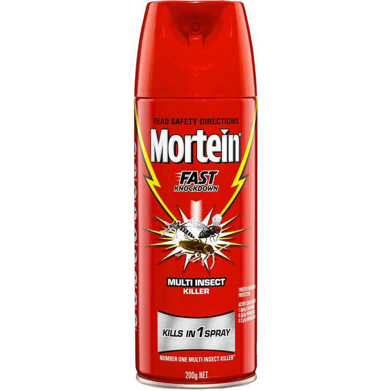 Mortein Fast Knockdown Insect 200g