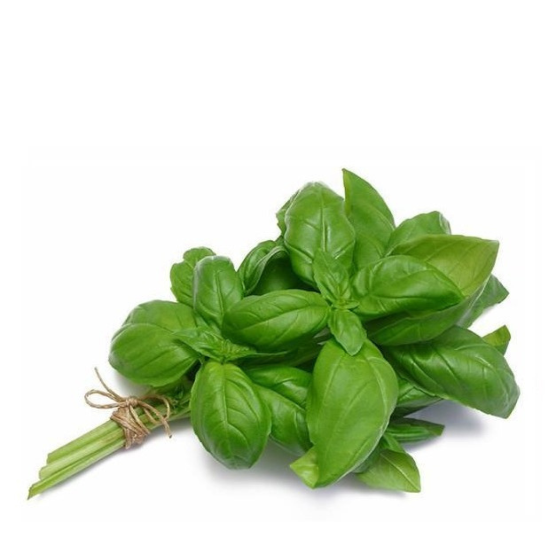 Fresh Basil bunch