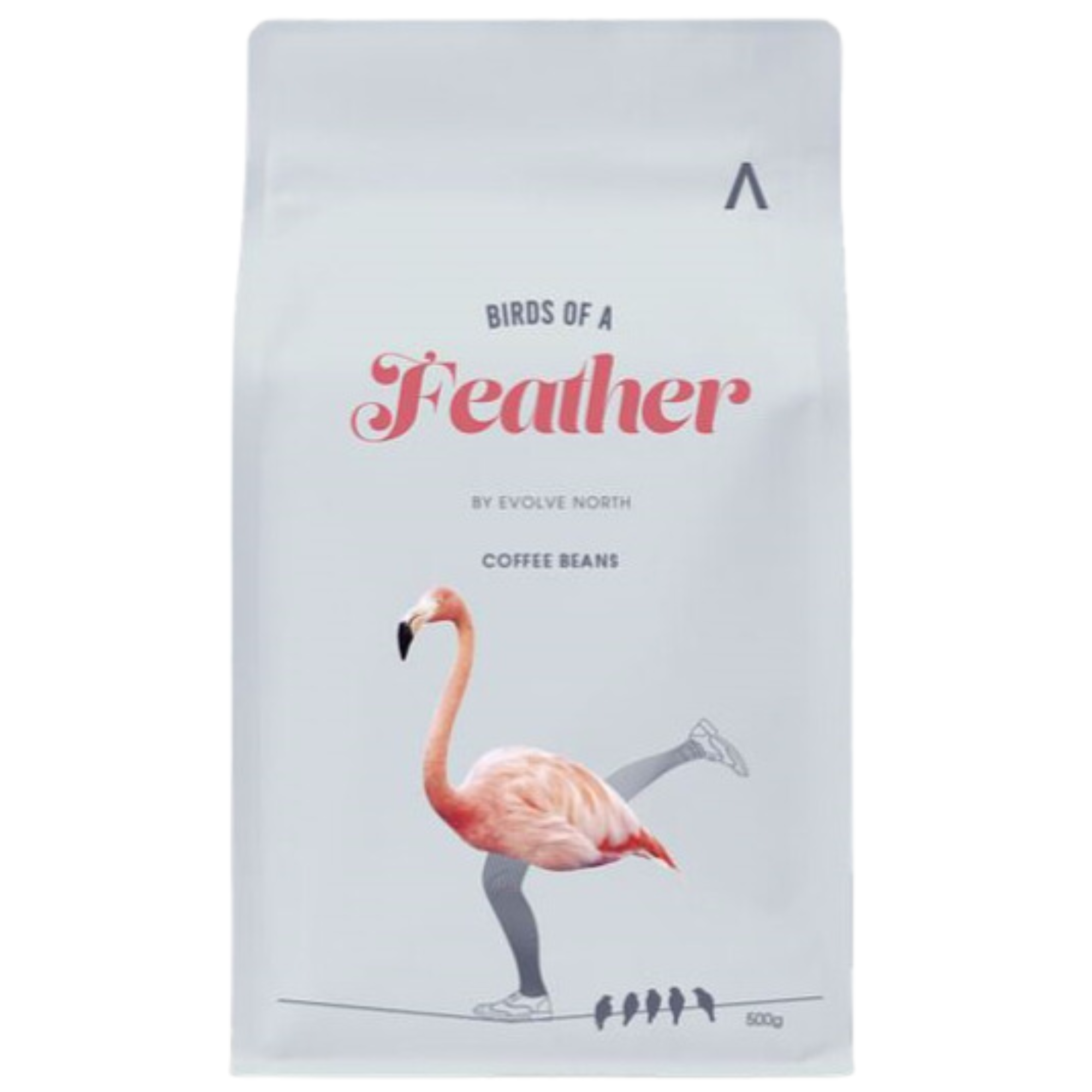 Evolve North Birds of a Feather Whole Roast Coffee 500g