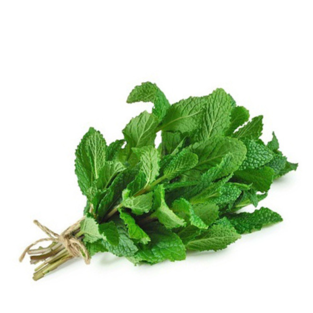 Fresh Mint bunch