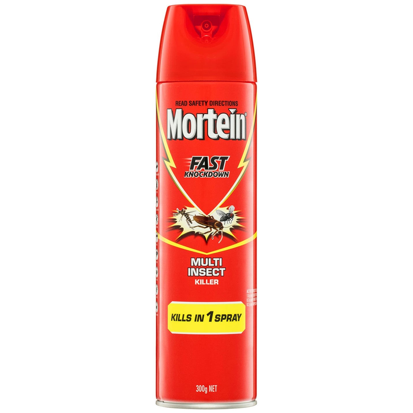 Mortein Fast Knockdown  Multi Insect Killer 300g