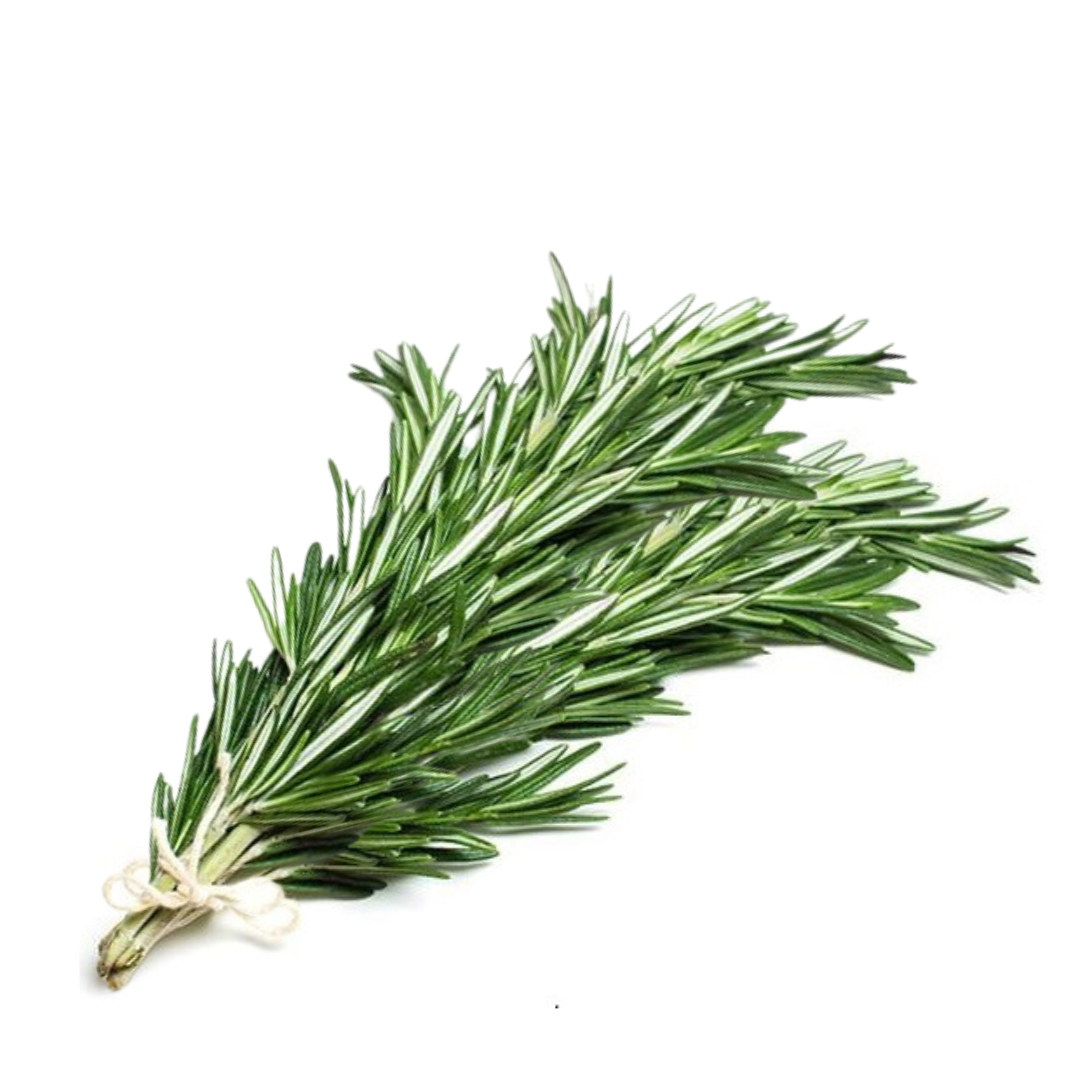 Fresh Rosemary bunch