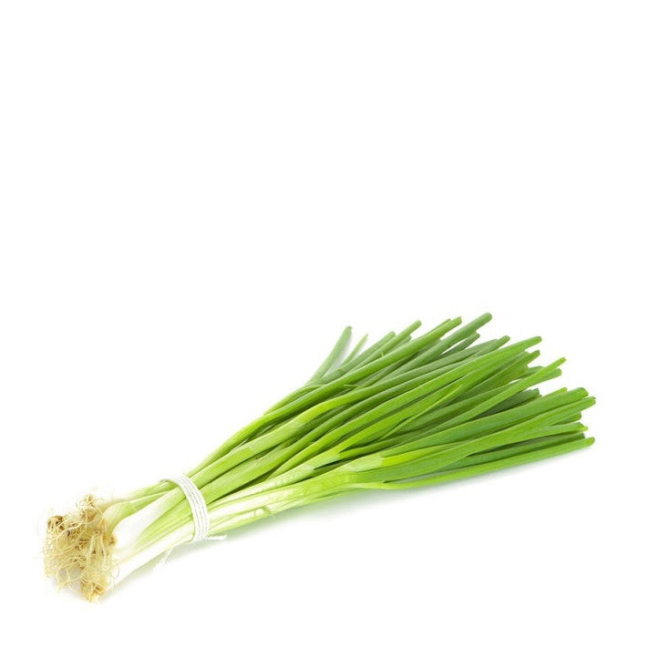 Spring Onion Bunch