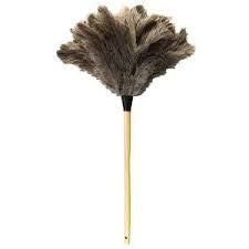 Feather Duster 900mm