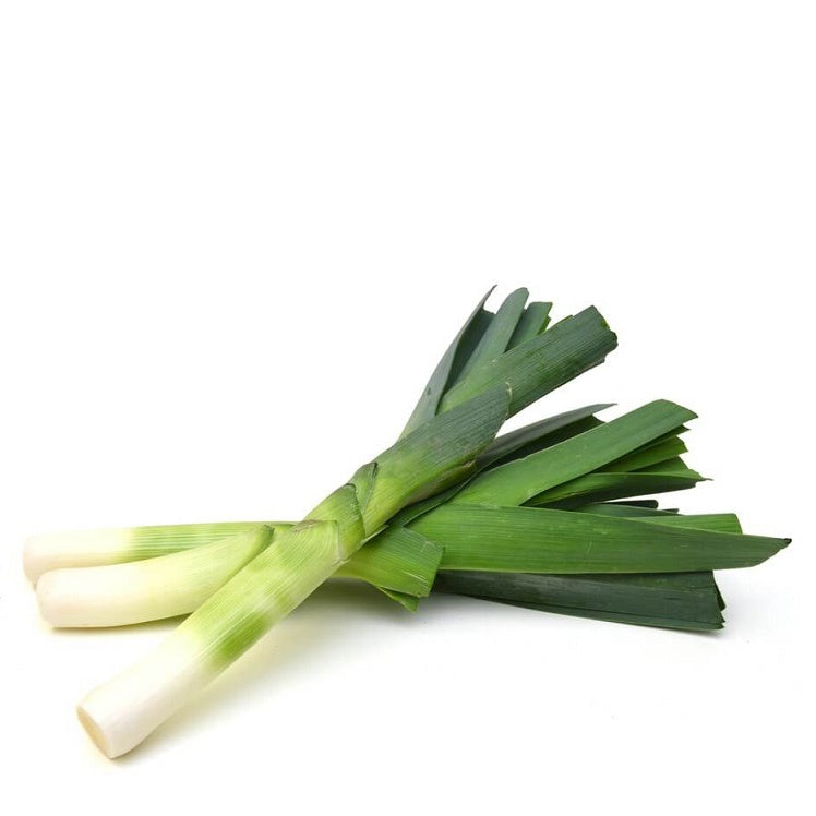 Leek single